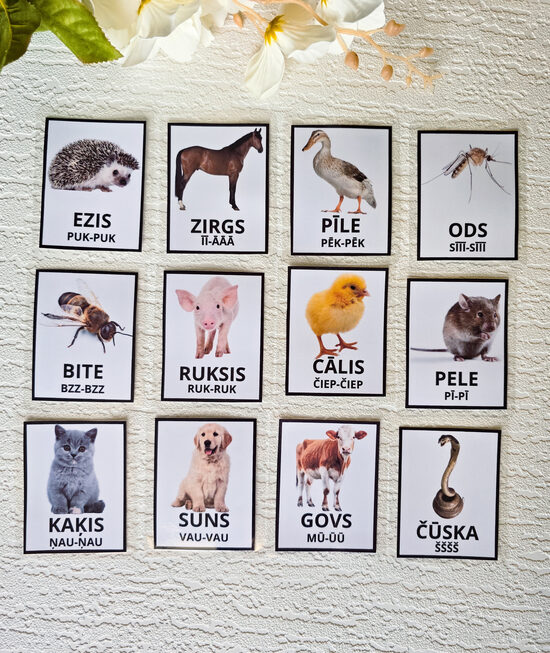 Dzīvnieku kartītes 12 gab